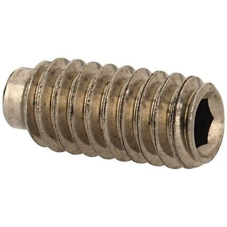 Newport Fasteners Socket Set Screw, Half Dog Point, 10-24 x 3/4", Stainless Steel, 18-8, Hex Socket Drive , 100PK 840017-100
